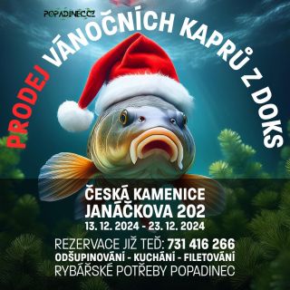 Vánoční kapři z Doks jsou tady! 🎄🐟 📍 Česká Kamenice, Janáčkova 202 📅 13. 12. – 23. 12. 2024 ✅ Odšupinování | Kuchání |...
